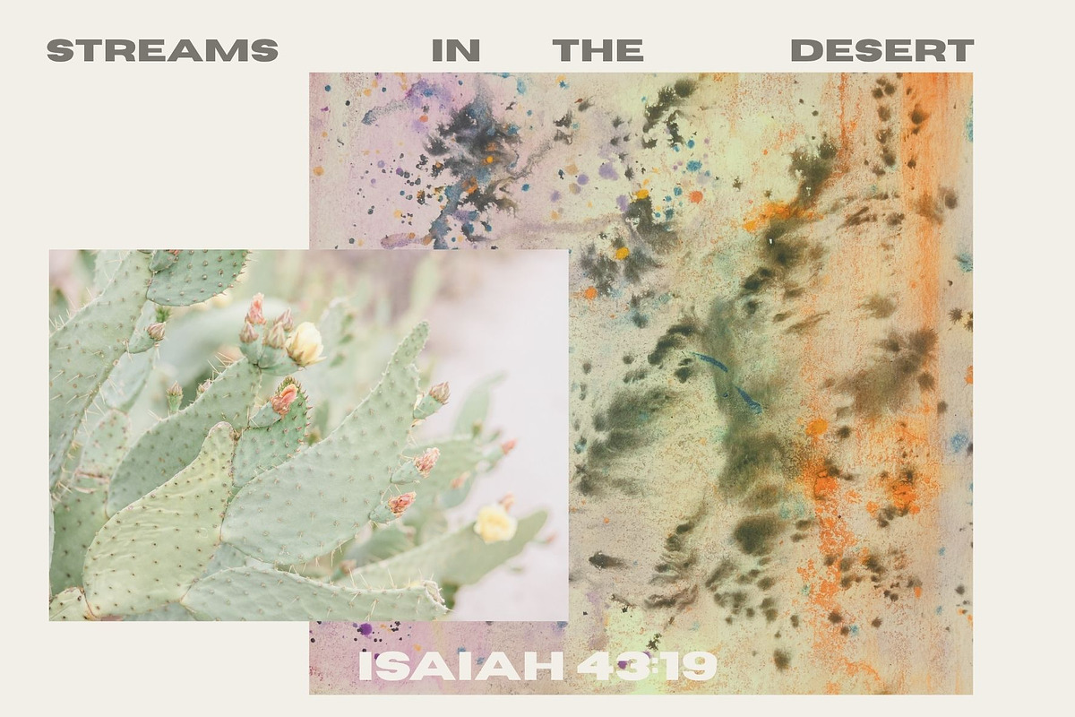 Watercolor Splatter Backgrounds, a Background Graphic by Eryn Rose Design (Photo 12 of 19)