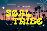 Seal Tribe Creative Vintage Font, a Handwritten Font by Catalystco Studio (Thumbnail 1 of 7)