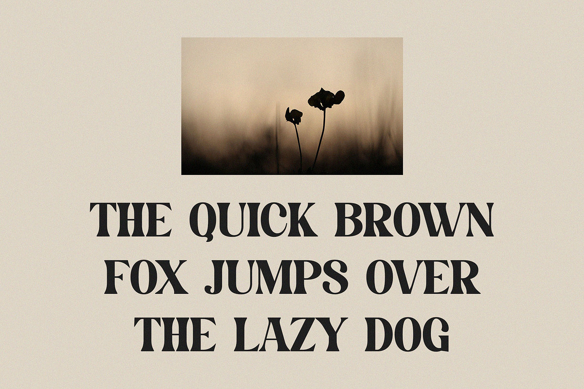 Mahersy - Classic Display Serif, a Serif Font by TypeLogue (Photo 2 of 5)