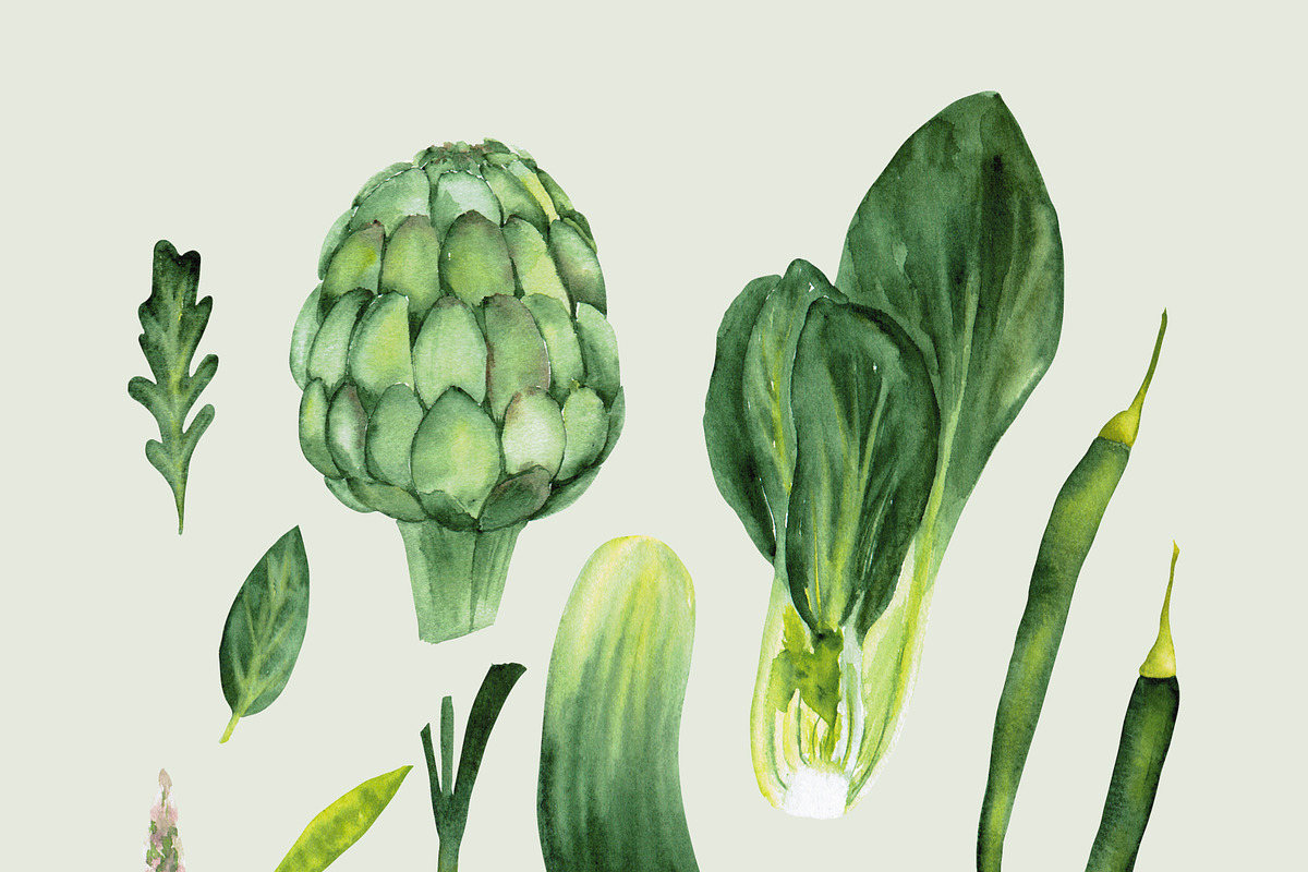 Watercolor vegetables, a Food Illustration by LeriaArt watercolor (Photo 2 of 5)