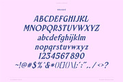 Sunday Sauce, Nostalgic Vintage Font, a Serif Font by Vicarel Studios (Thumbnail 16 of 16)