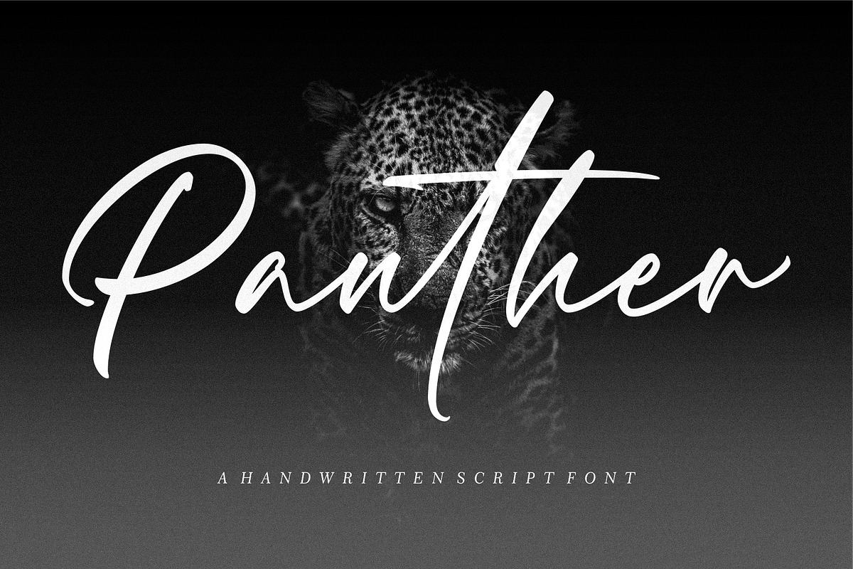 Panther – Handwritten Font, a Script Font by RedyStudio (Photo 1 of 14)