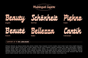 MN Jaybird - Bold Retro Script Font, a Script Font by Mantra Naga (Thumbnail 16 of 18)
