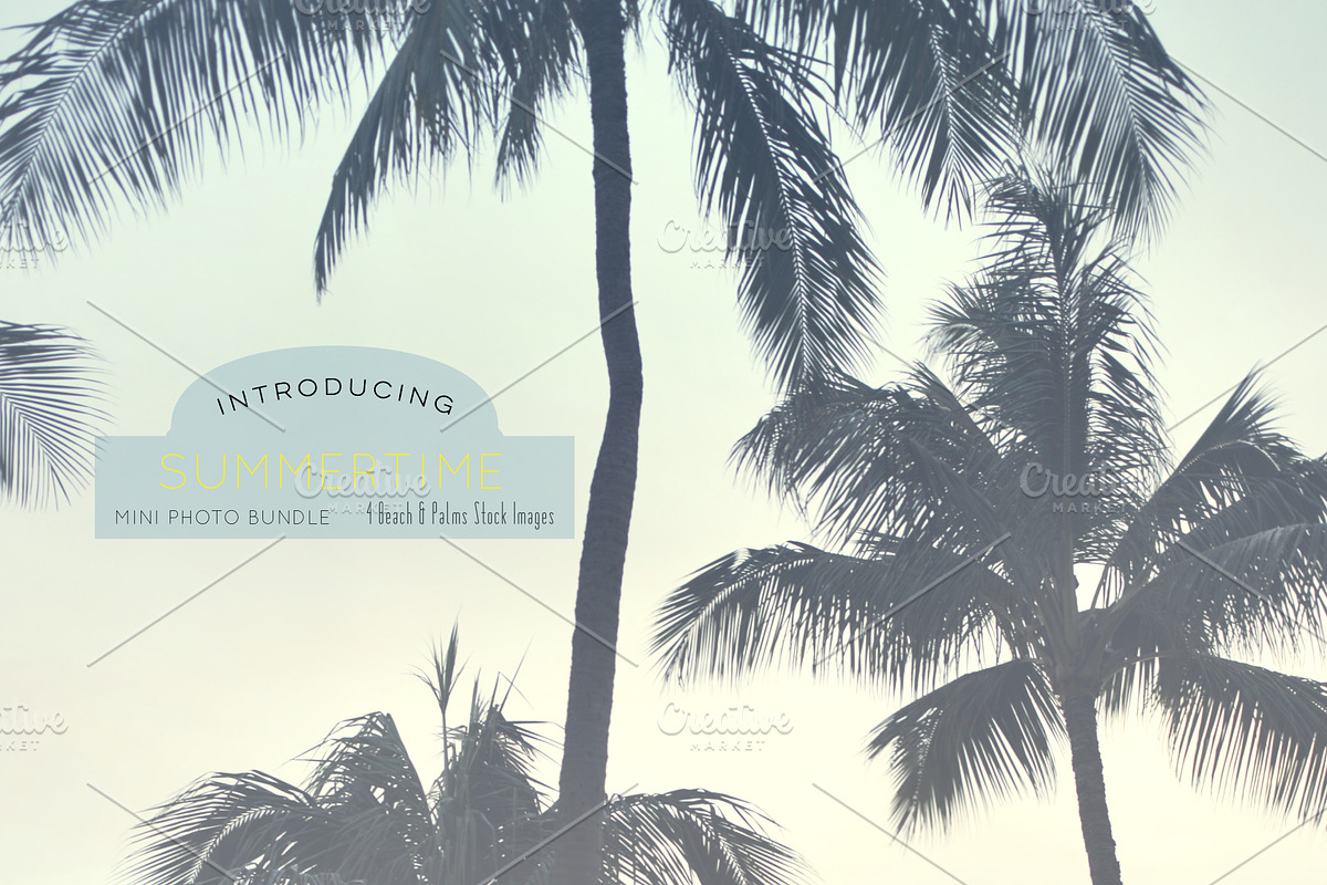 Summertime 4 Hi-Res Photo Bundle, an Abstract Photo by CC CREATIVE CO (Photo 6 of 6)