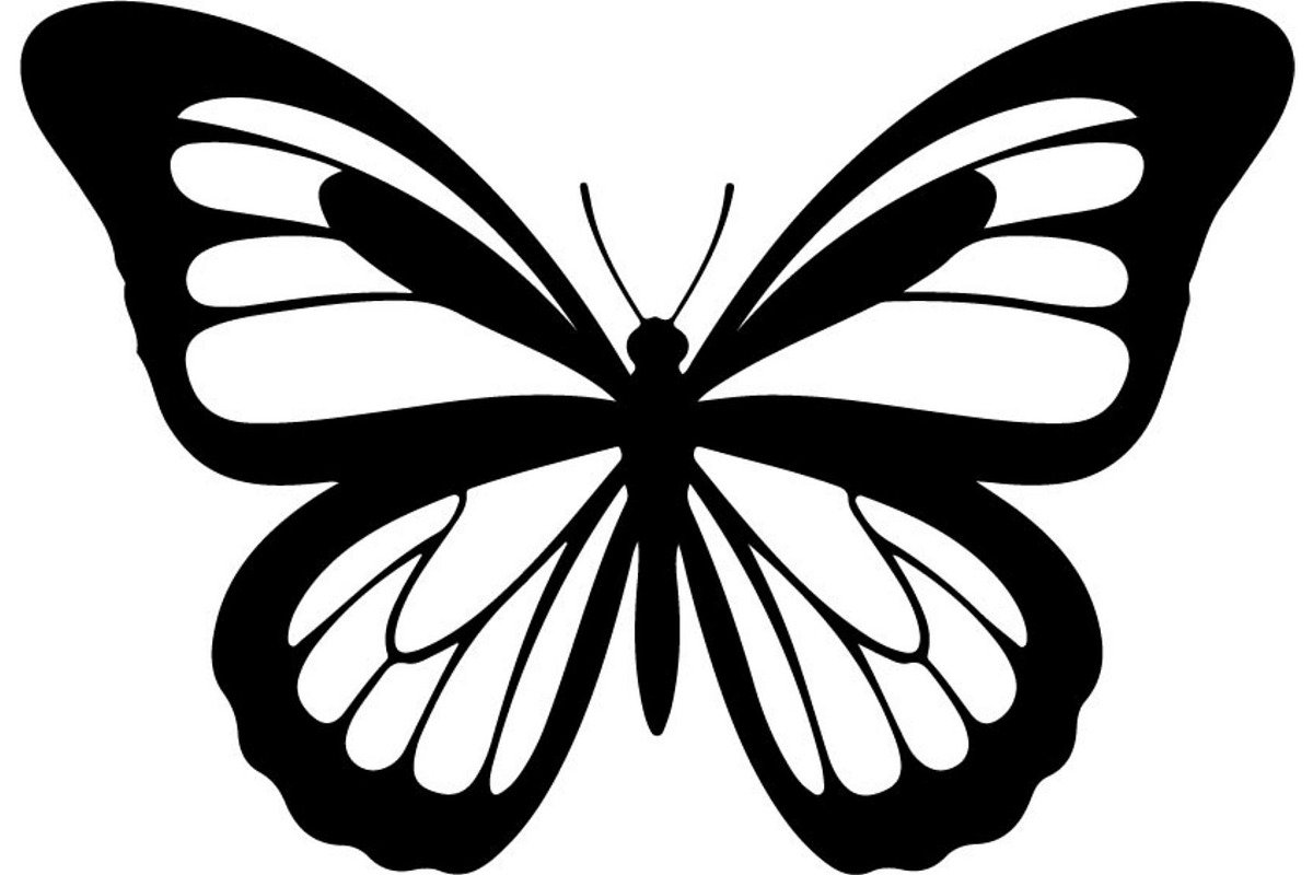 Elegant Butterfly Silhouette, an Object Graphic by Designer_Momina (Photo 14 of 18)