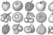 Assorted Fruit Icon Set, an Object Graphic by nikagraphic (Thumbnail 1 of 3)