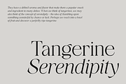 Tangier - Classy Modern Serif, a Serif Font by Viswell (Thumbnail 9 of 12)