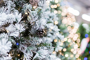 White Christmas tree photo BUNDLE, a Holiday Photo by TruElegance Photos (Thumbnail 2 of 5)