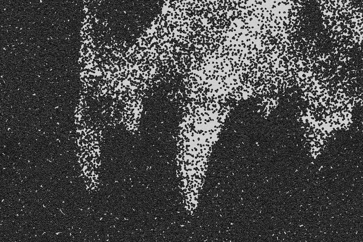 Vintage Stipple Pointillism Effect, a Layer Style Add-On by The Motel (Photo 6 of 7)