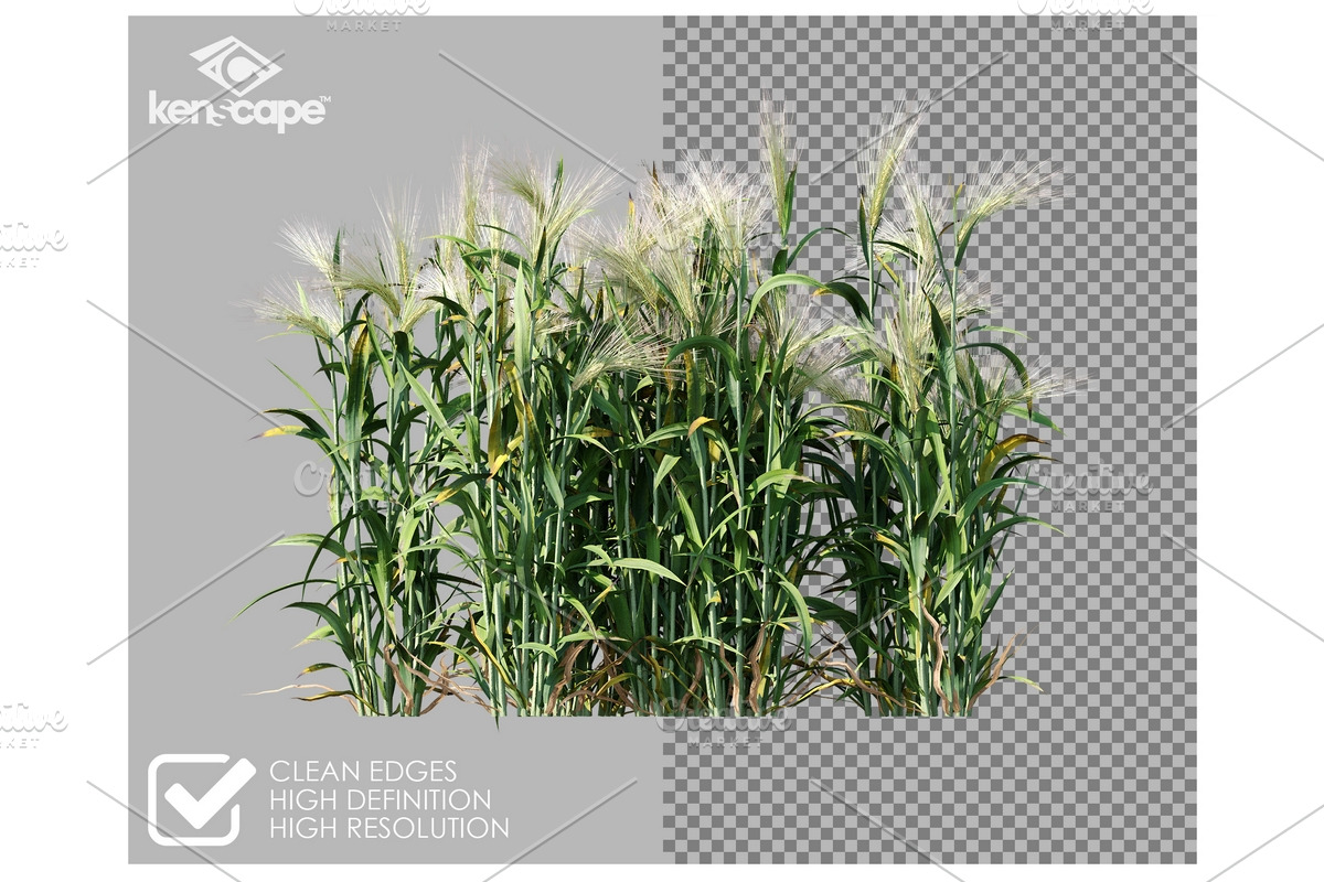 81 Farm Plants Photo Overlays, a Nature Photo by KenScape (Photo 2 of 3)