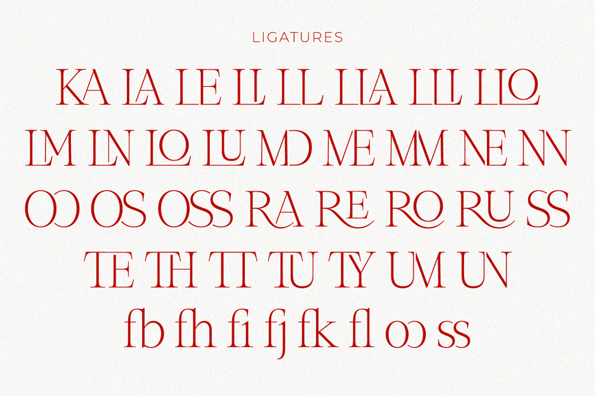 Role Model | Contemporary Serif, a Serif Font by Ef Studio (Photo 11 of 13)