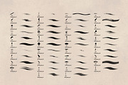 Calligraphy Brush Set, a Brush Add-On by Zsolt Kosa Art (Thumbnail 5 of 6)