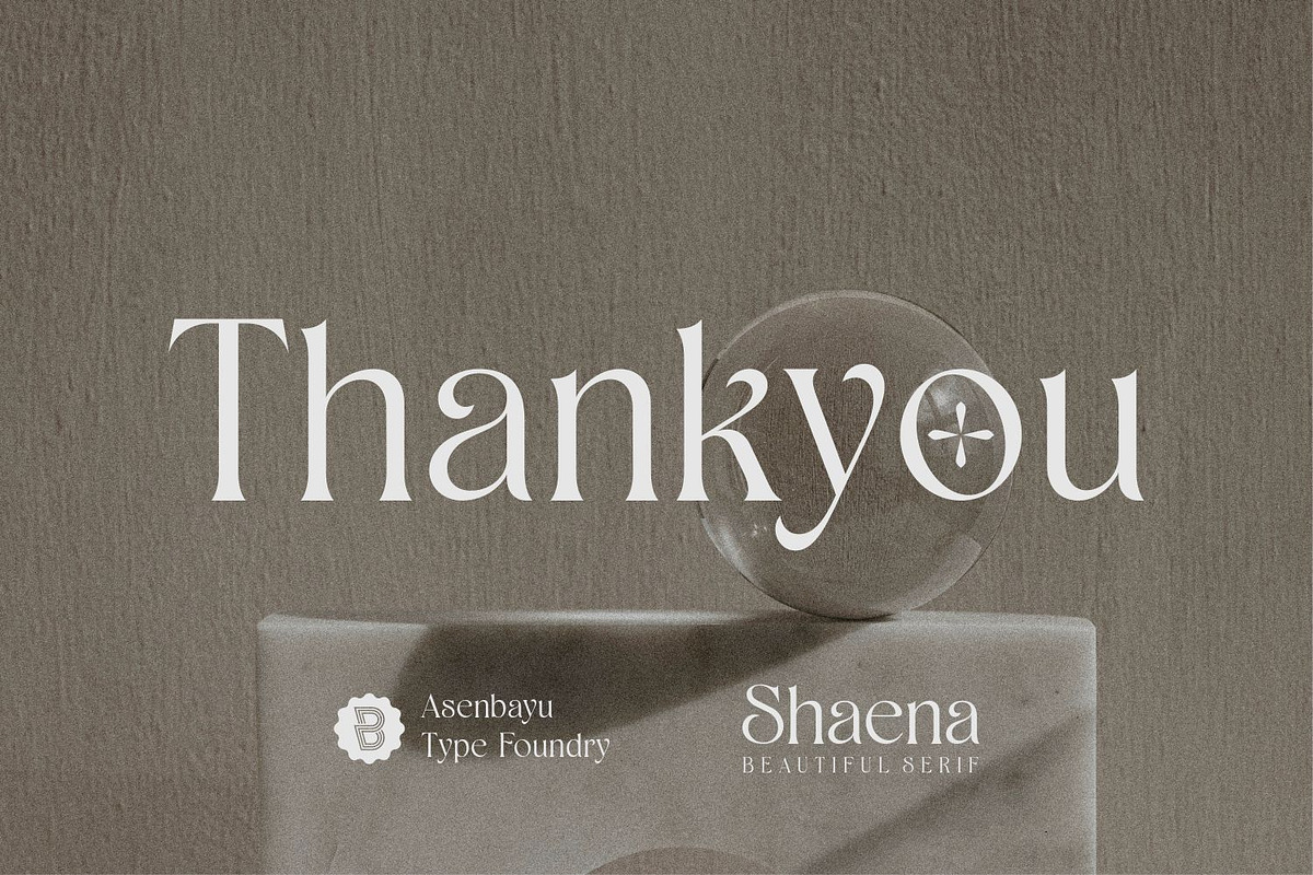 Shaena - Beautiful Serif, a Serif Font by Asenbayu (Photo 14 of 14)