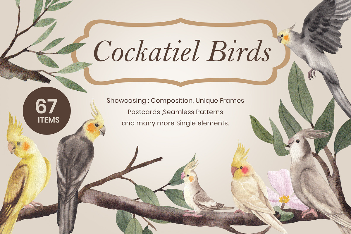 Cockatiel Birds Watercolor, an Animal Illustration by CreativeValuation (Photo 1 of 15)