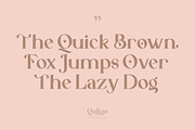 Qaligo | Elegant Serif Font, a Serif Font by Youthlabs Studio (Thumbnail 12 of 18)