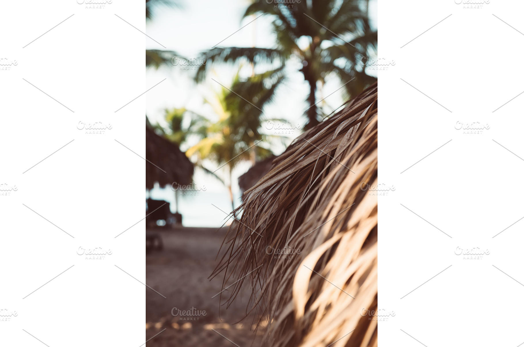 Tropical carribbean beach, a Nature Photo by Nature and travel