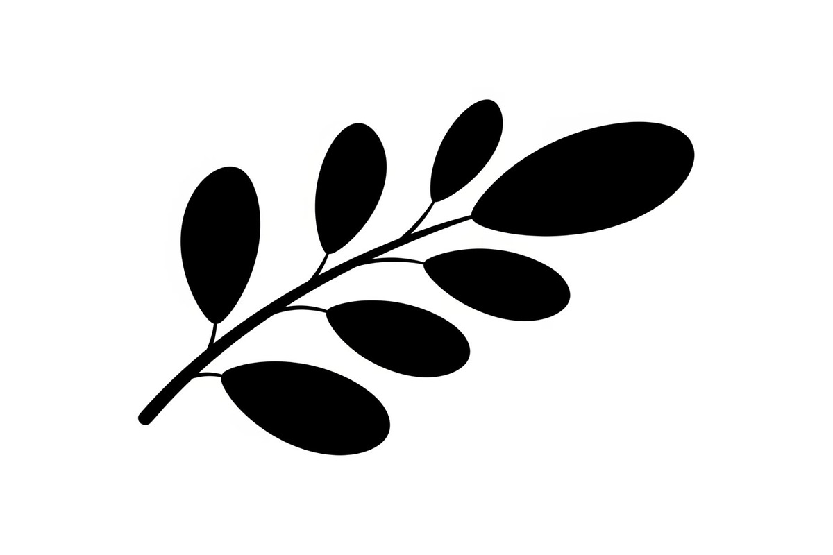 Botanical Leaf Silhouette Bundle, an Illustration by Creativeshirt (Photo 10 of 51)