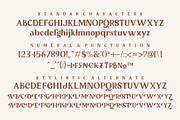 Tropical County - Modern Serif, a Serif Font by Fikryal Studio (Thumbnail 14 of 19)