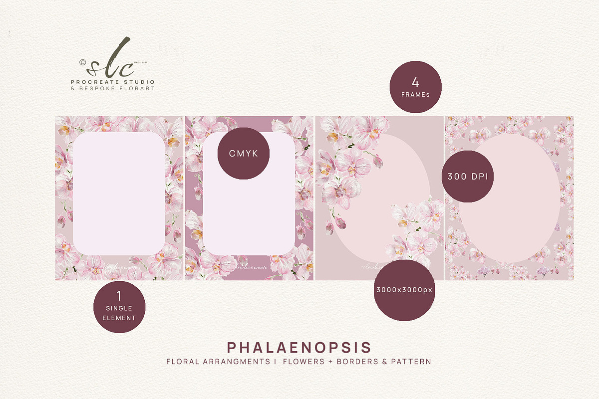 Pink Orchid Phalaenopsis Art, an Illustration by slowlivecreate (Photo 3 of 7)