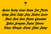 HOLIDAZE DISPLAY RETRO FONT, a Serif Font by Tropical Type (Thumbnail 10 of 11)