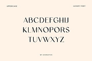 Elaine Kinandhita Classy Sans Serif, a Sans Serif Font by UICreative (Thumbnail 5 of 12)