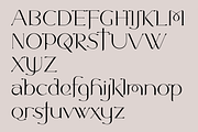 Lemonade. Chic new social media font, a Serif Font by LostandFoundry (Thumbnail 5 of 6)