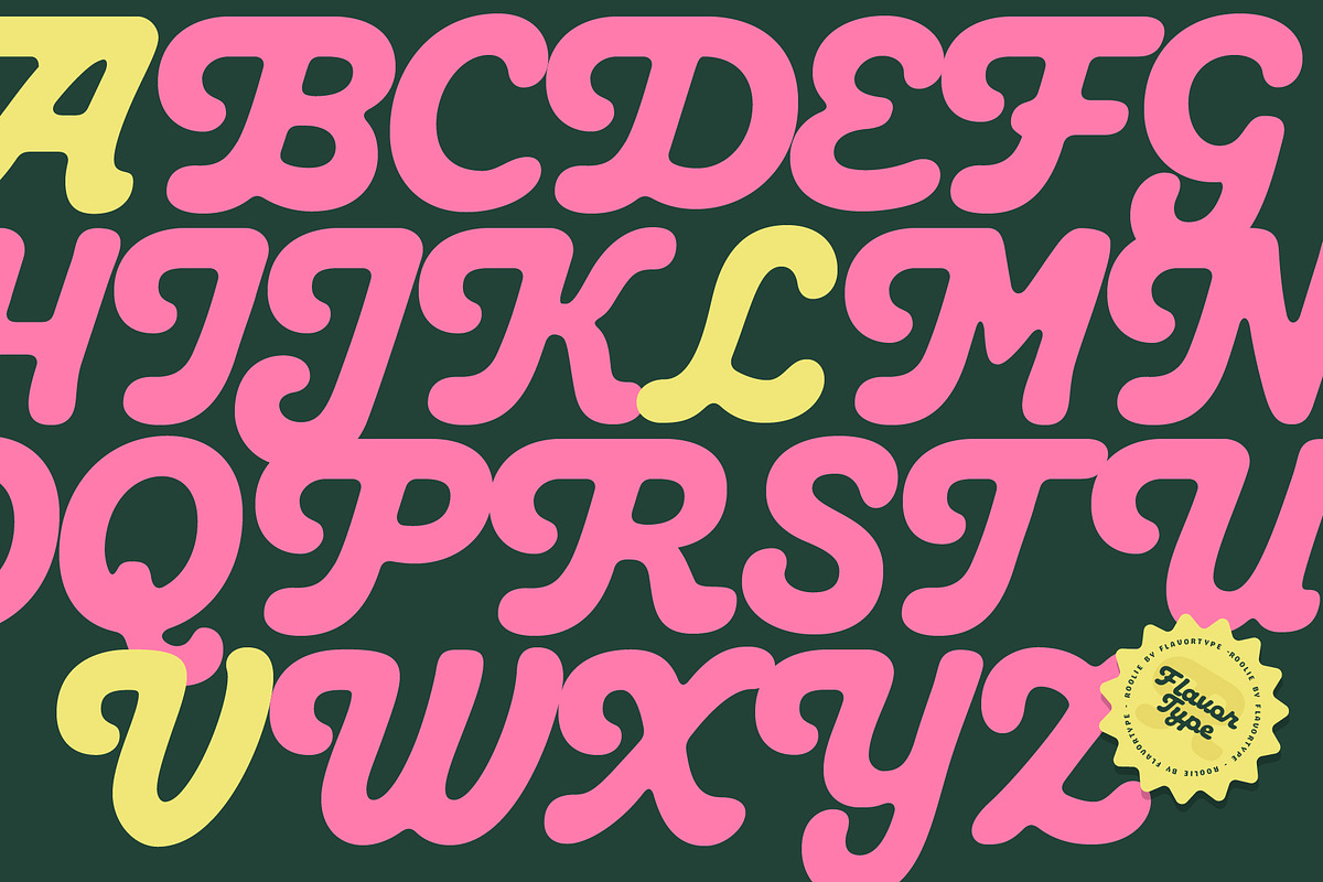 Roolie, a Script Font by Flavortype (Photo 4 of 15)