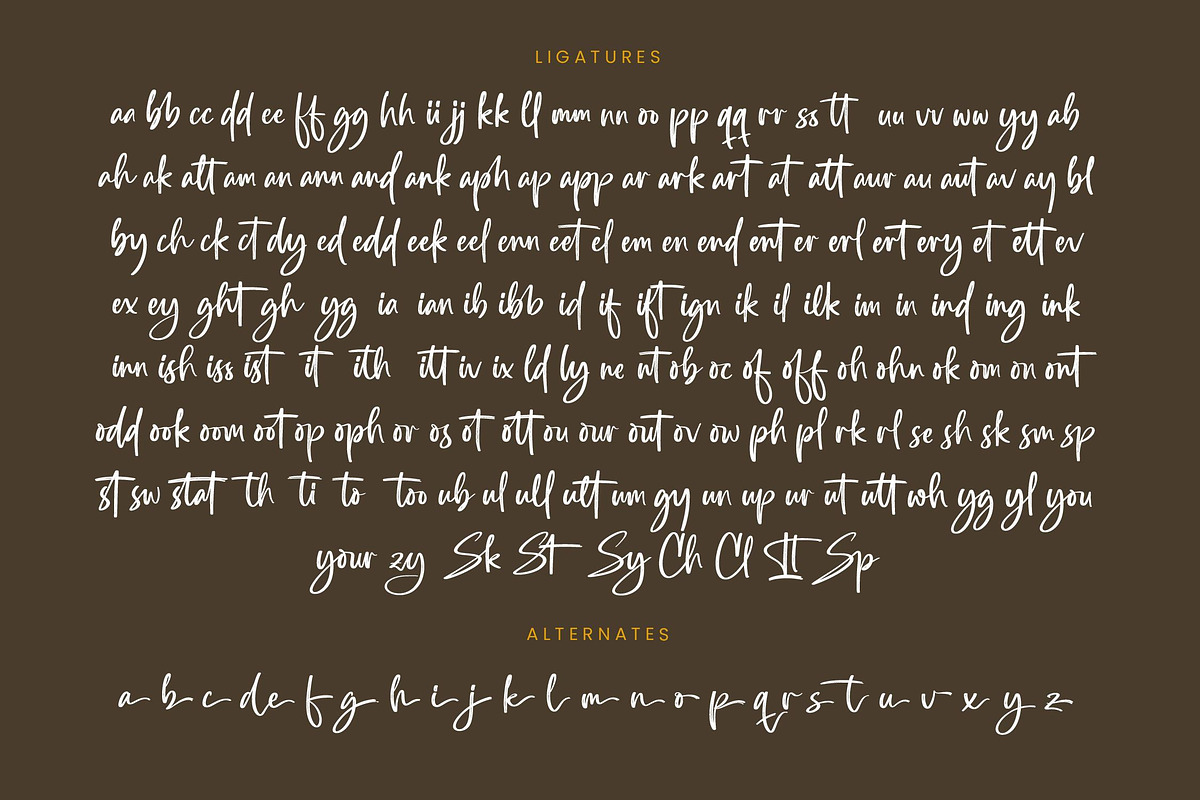 Southery Bold Brush Font, a Script Font by stylishtype.co (Photo 19 of 20)