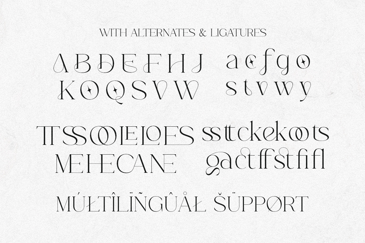 Classy Elegant Serif - Louisbele, a Serif Font by Shakira Studio (Photo 10 of 10)