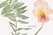 FIELD watercolor wildflowers, a Decorative Illustration by Yuliia Lashevska (Thumbnail 7 of 13)