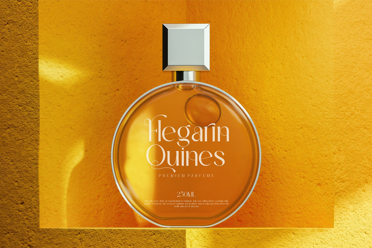 Qarine || Modern Classy Sans Serif, a Sans Serif Font by Ermedia Studio (Photo 9 of 10)