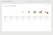 BBCH Growth Stages Cucurbits, a Presentation Template by Ilia Design (Thumbnail 6 of 6)
