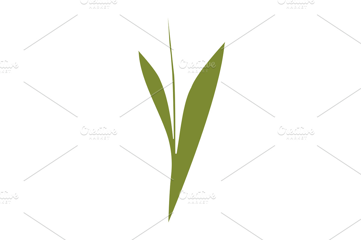 Simple green plant with single stem, an Object Illustration by okskukuruza