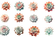 Watercolor Boho Succulents Clipart, an Illustration by Designworld (Thumbnail 3 of 5)