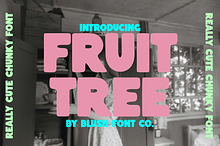 FRUIT TREE Fun Chunky Display Font