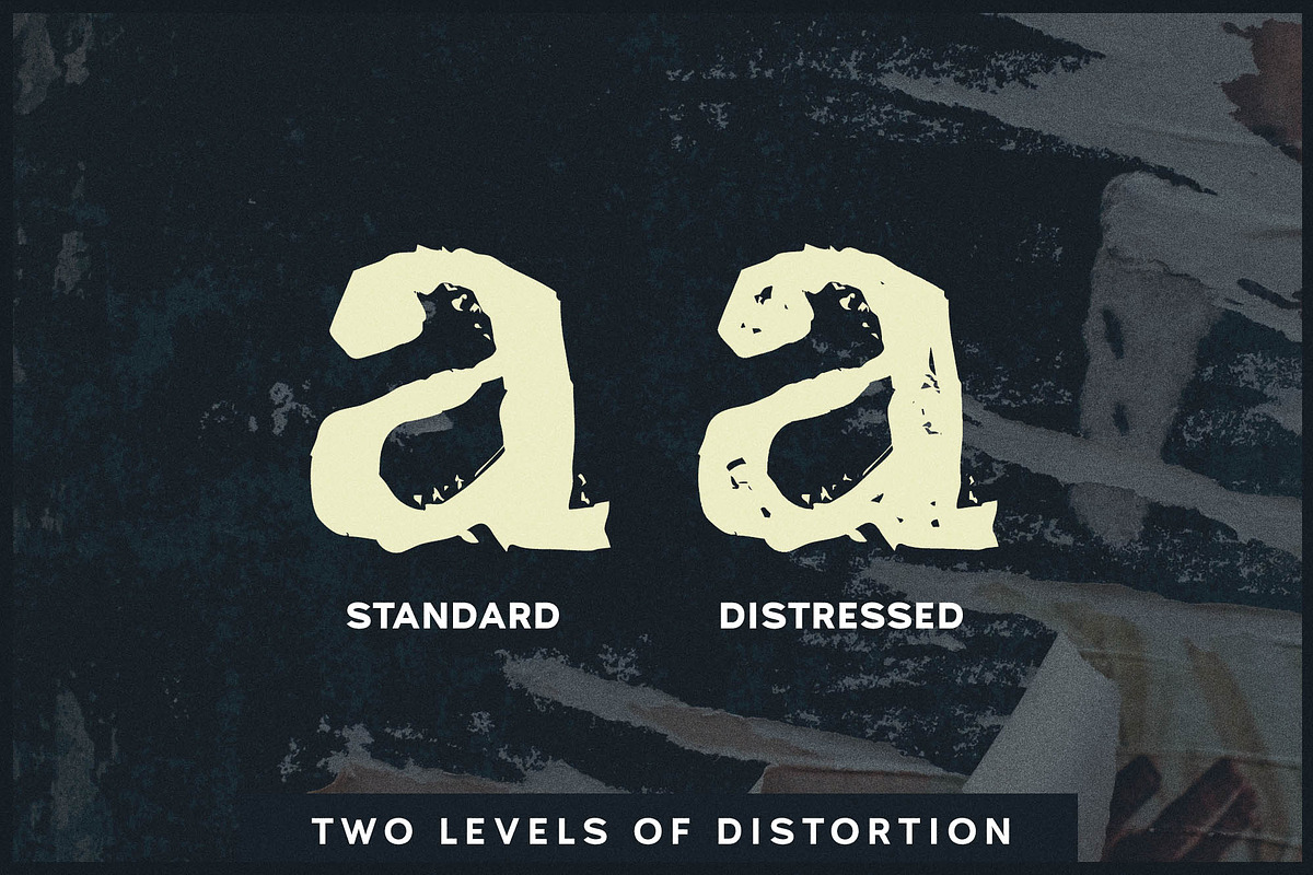 Docket Distressed Typewriter, a Slab Serif Font by Parker Creative (Photo 3 of 11)