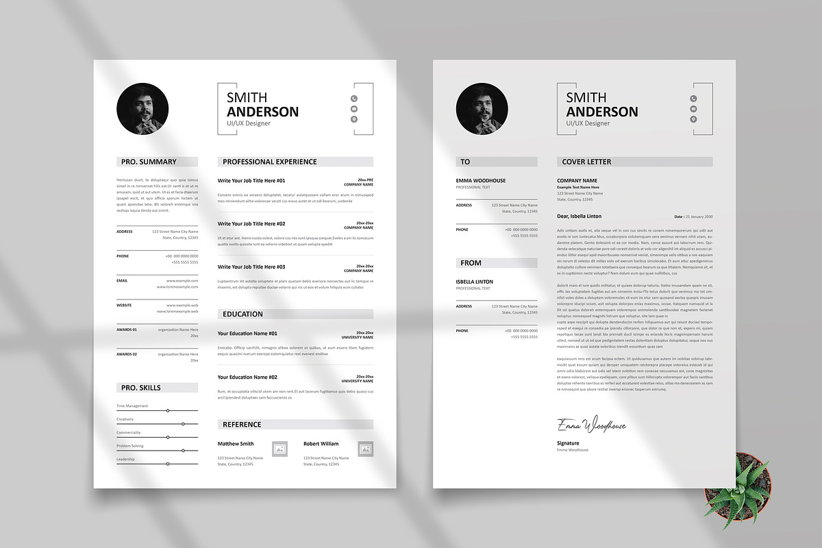 Modern Executive Resume Template preview 2
