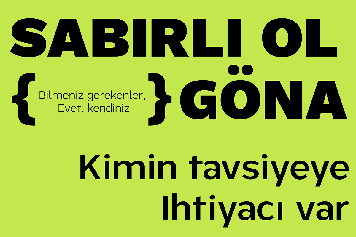 ZT Rayflo, a Sans Serif Font by zelow type (Photo 3 of 15)
