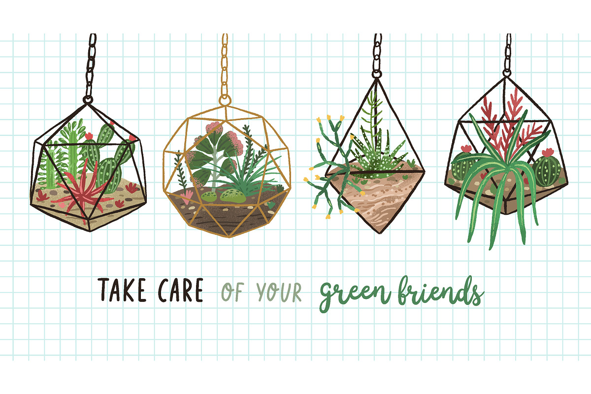 Florarium composition banner, a Decorative Illustration by Good Studio (Photo 1 of 3)