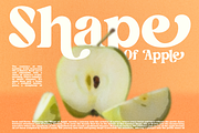 Bashing - Retro Swash Font, a Serif Font by Pandeka Studio (Thumbnail 11 of 13)
