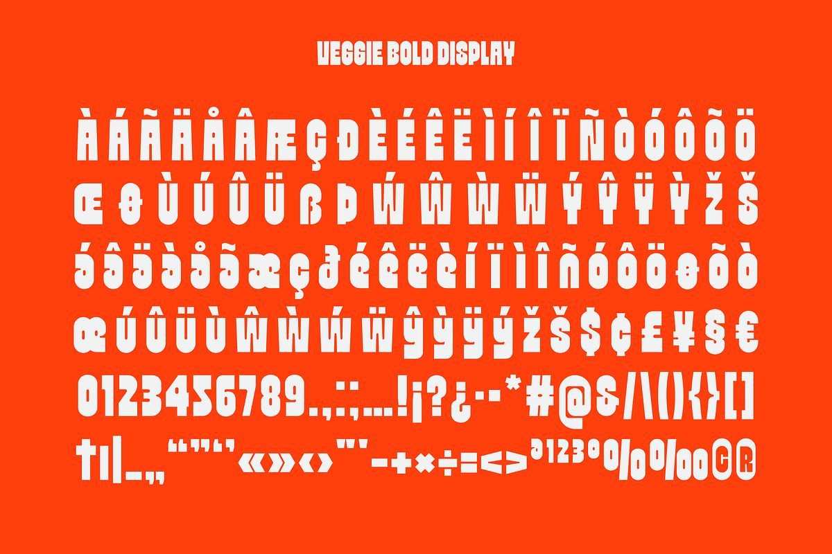 Veggie - Bold Font, a Sans Serif Font by limitype (Photo 12 of 13)