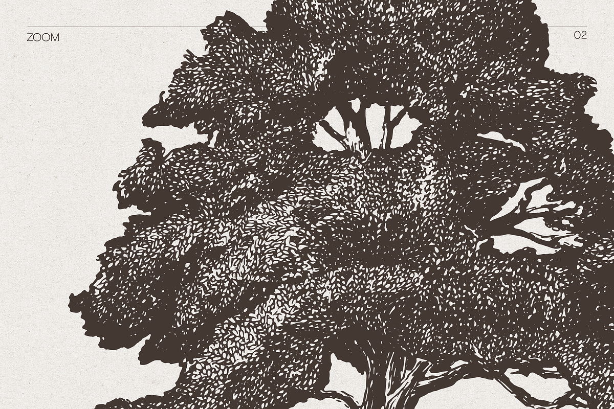 High Detail Tree Sketches Collection, an Object Graphic by TheMountBirdStudio (Photo 3 of 7)