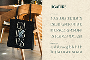 Emirola, a Serif Font by Burntilldead (Thumbnail 7 of 14)