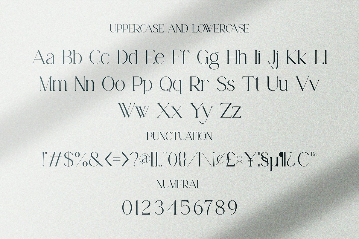 Fantia || Modern Serif Font, a Serif Font by Idea Studio (Photo 10 of 10)
