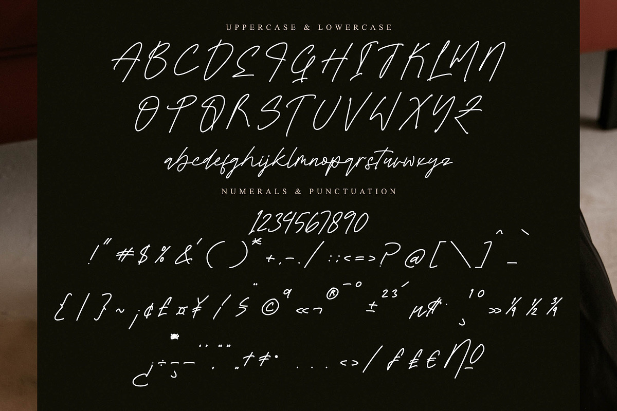Brighton Heritage, a Handwritten Font by operatype.co (Photo 13 of 15)