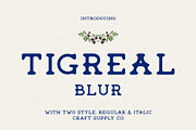 Tigreal Blur, a Serif Font by Craft Supply Co. (Thumbnail 1 of 8)