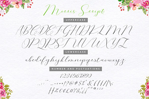 Morris Script Font Duo