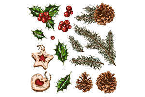 Winter set with pine branches, cones, an Object Illustration by Sabelskaya