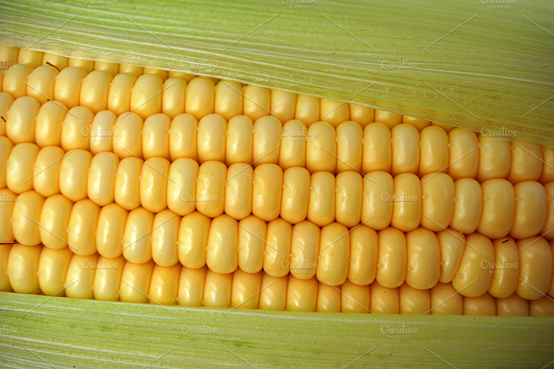 Tasty ripe corn, a Photo by saiko3p
