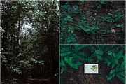 Foliage Frames Vol. 1 - Mockups, a Print Template by Wild Joy Studios (Thumbnail 5 of 6)